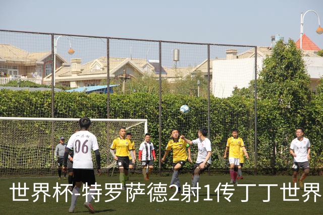 世界杯-特罗萨德2射1传丁丁世界波 比利时5-1新西兰获头名
