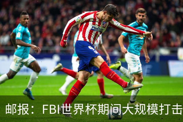 邮报：FBI世界杯期间大规模打击无人机活动，一名非法移民被捕